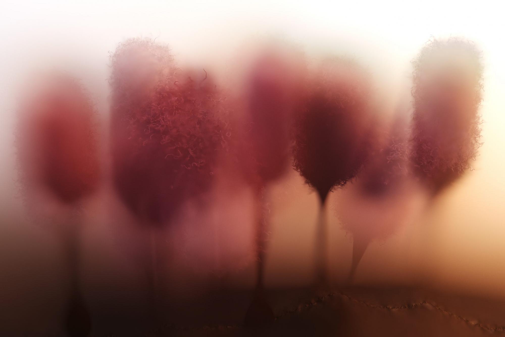 travisvermilye 3d digital artist