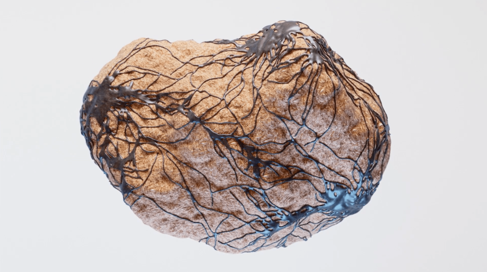 Bound Network: Earth